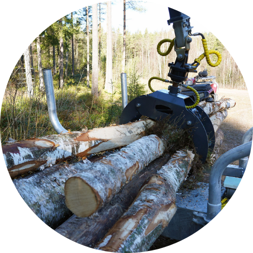 Ved och skog