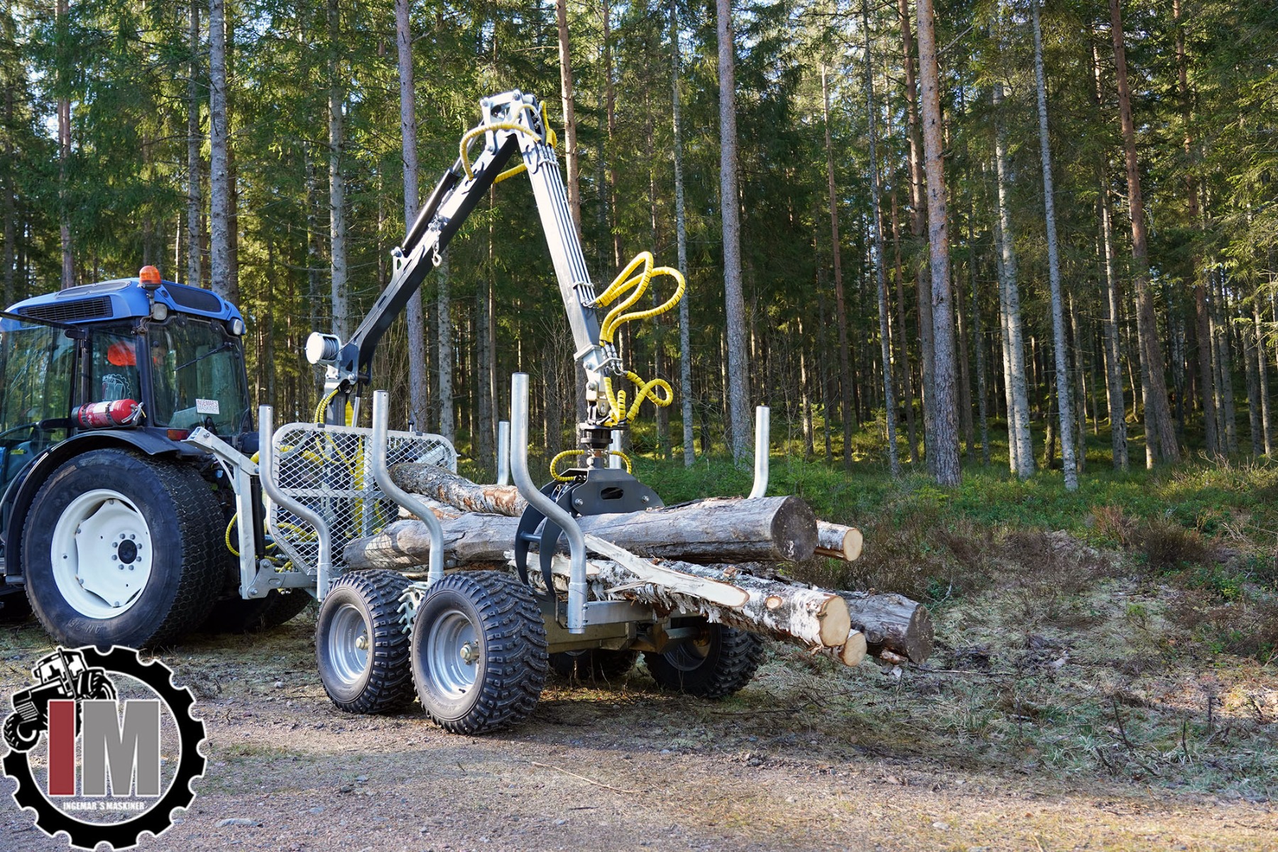 IM SKOGSVAGN 2000