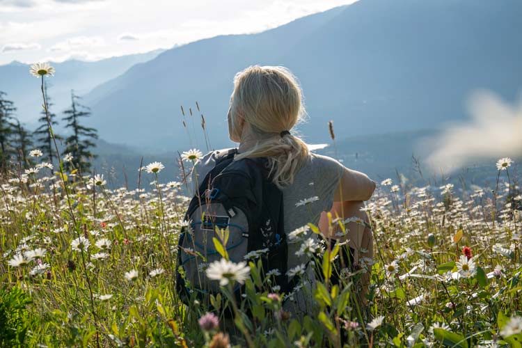 Sommarpackningen