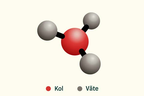 Illustration of a methyl group with three hydrogen atoms and one carbon atom.