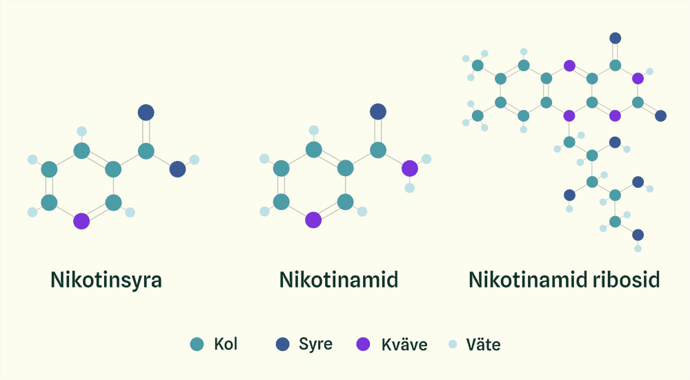 Illustration of the molecules of three different types of vitamin B3: nicotinic acid, nicotinamide and nicotinamide riboside where the first two are relatively similar and the last is considerably more complex Illustration of the molecules of three different types of vitamin B3: nicotinic acid, nicotinamide and nicotinamide riboside where the first two are relatively similar and the last is considerably more complex