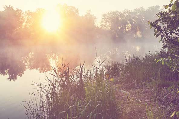 Vacker vy av soluppgång över träd och en sjö lätt morgondis