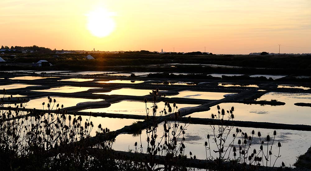 Saltbassänger i bretagne vid solnedgång