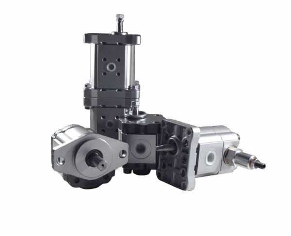 Ronzio Gear Pump Group 1