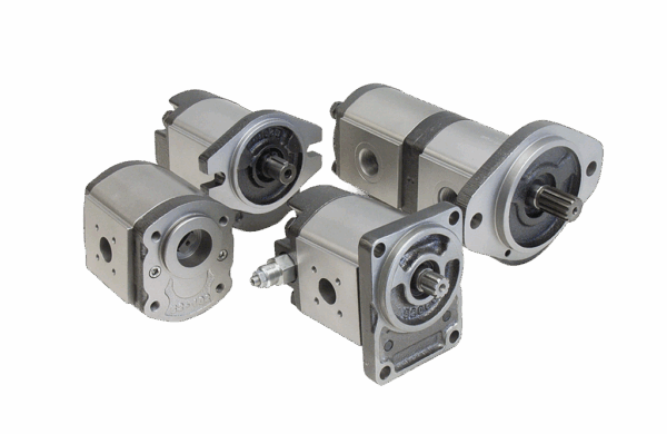 Ronzio Gear Pump Group 2